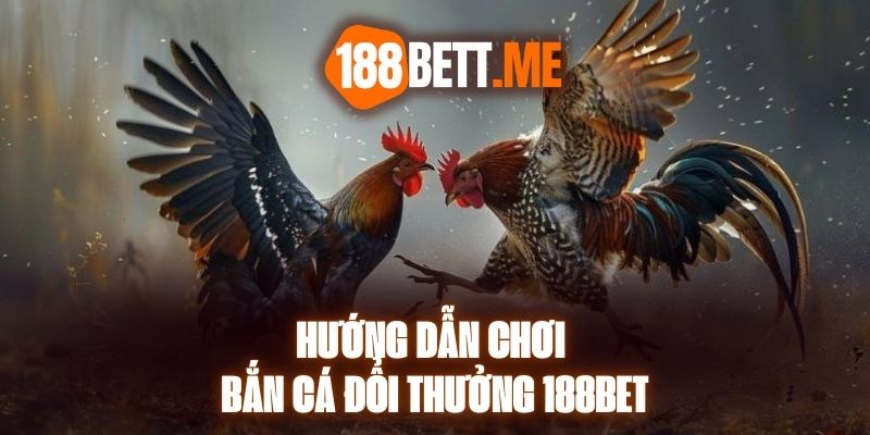 Đá Gà 188bet - Sân Chơi Hàng Đầu Cho Kê Thủ Châu Á