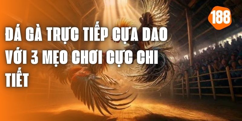 Đá Gà Trực Tiếp Cựa Dao Với 3 Mẹo Chơi Cực Chi Tiết