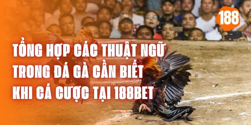 Cac-thuat-ngu-trong-da-ga